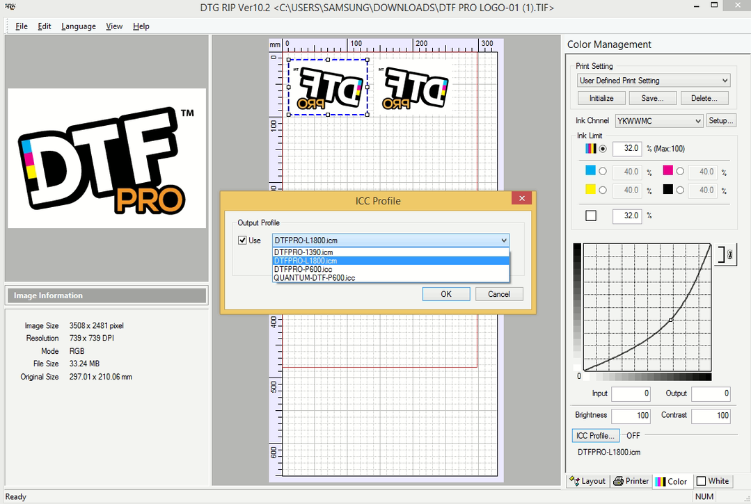 Dtf printing software