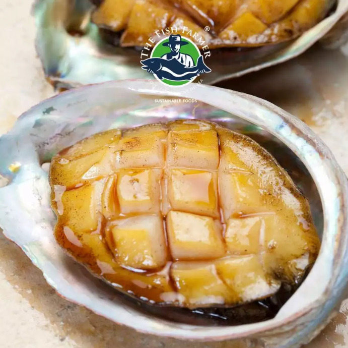 Sashimi Grade Abalone, L Size 100-125g per piece ( 2 pcs)  _0