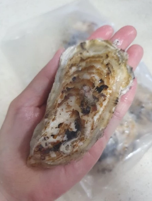 Sashimi - Murutsu Oyster (Large) - 12pcs_2