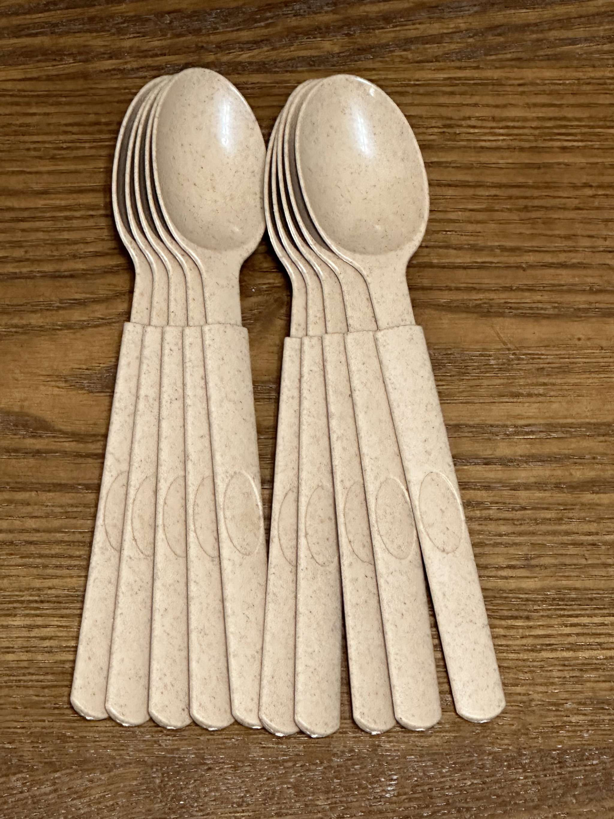 Cutlery  - Disposable spoon (Biodegradable - wheat straw)_1