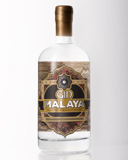 Gin