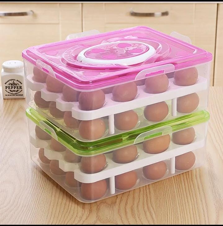 ❇️Egg Tray _0