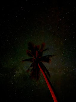 La Feria-Siargao Loop (2D1N / Juan and Lonely's Packages) 