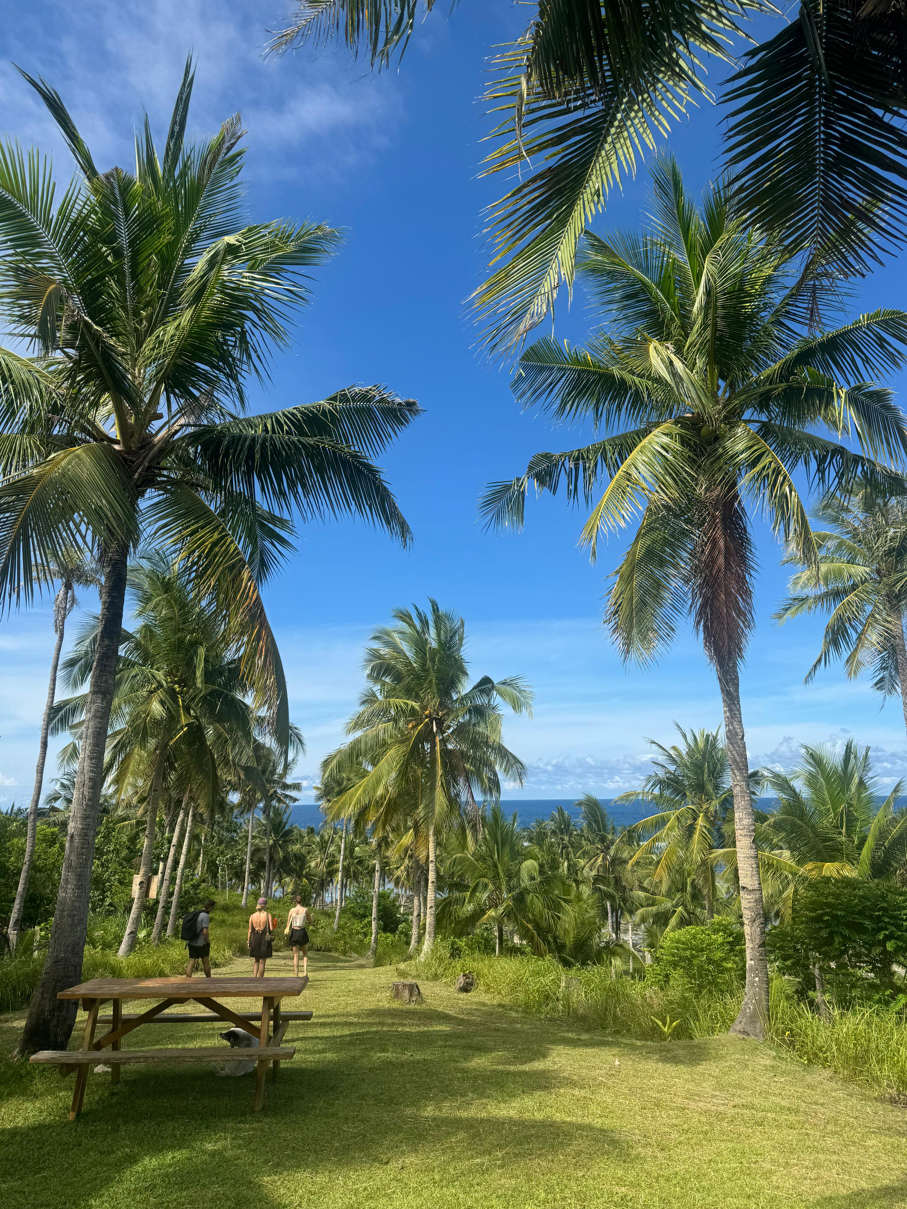 Private Day Tour "Trogon's Perch Siargao" (Juan and Lonely's Packages)_25