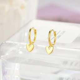 Earrings ✨
