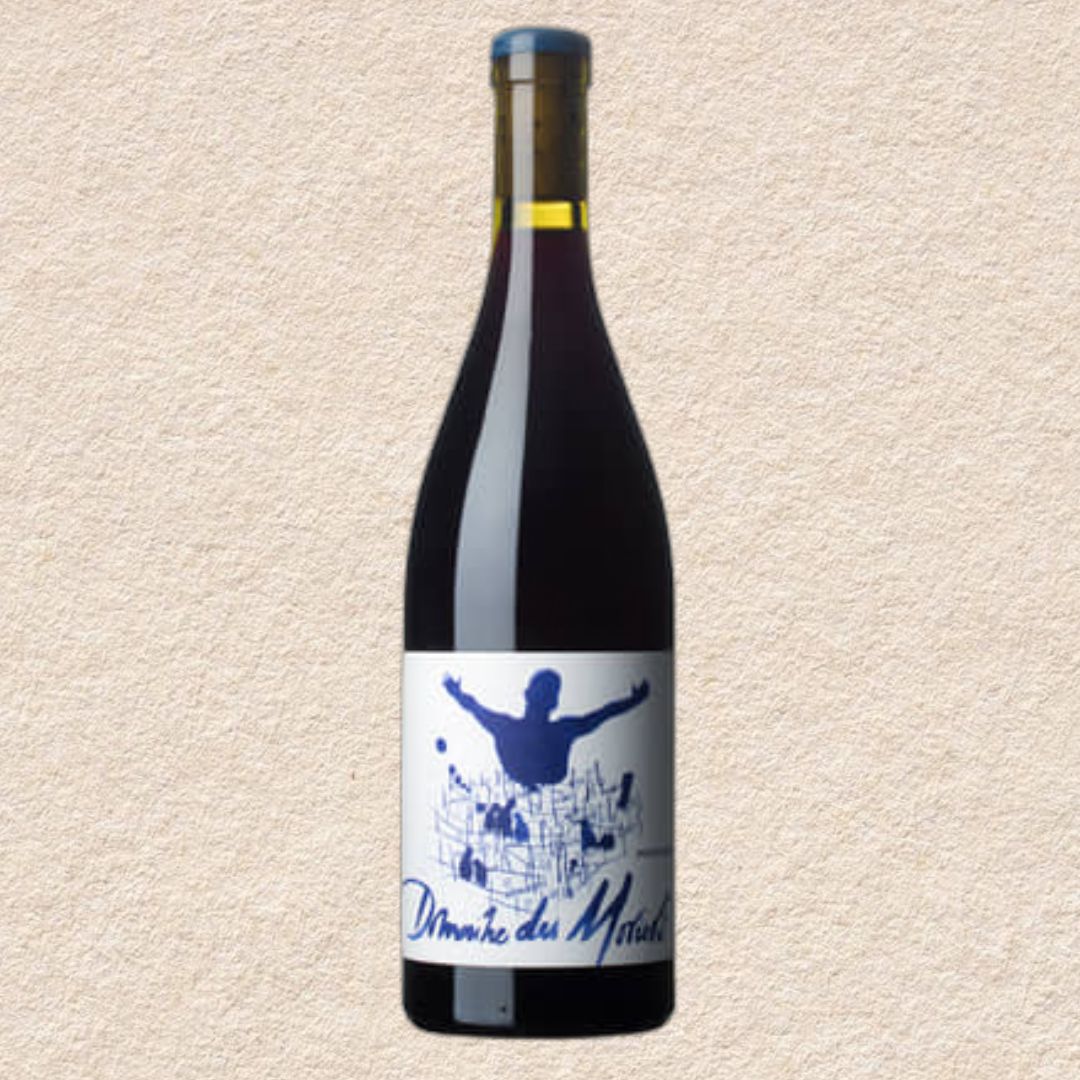 (NATURAL) Beaujolais Villages / Domaine des Moriers, France