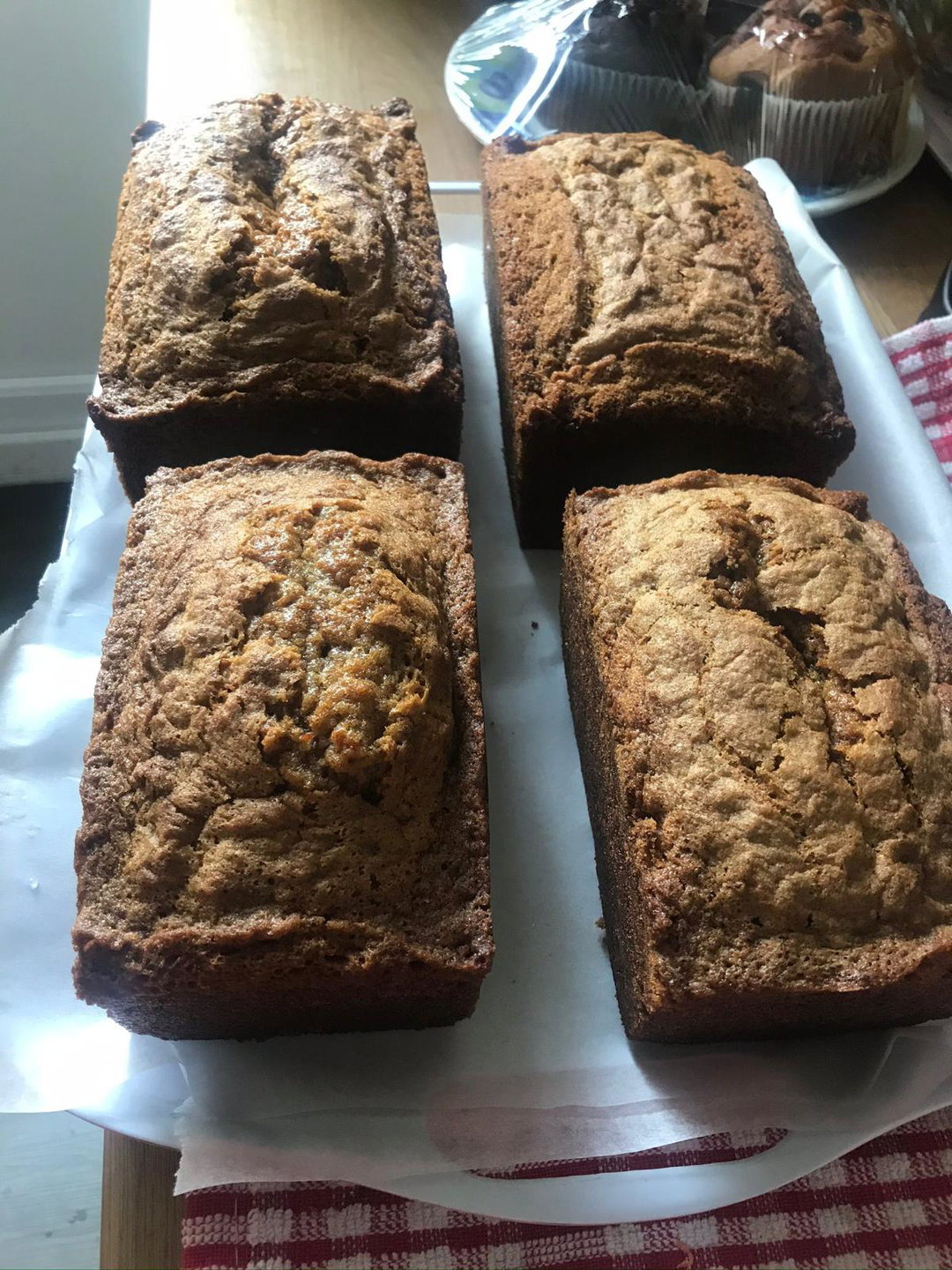 Carrot Cake/Vanilla Cake 