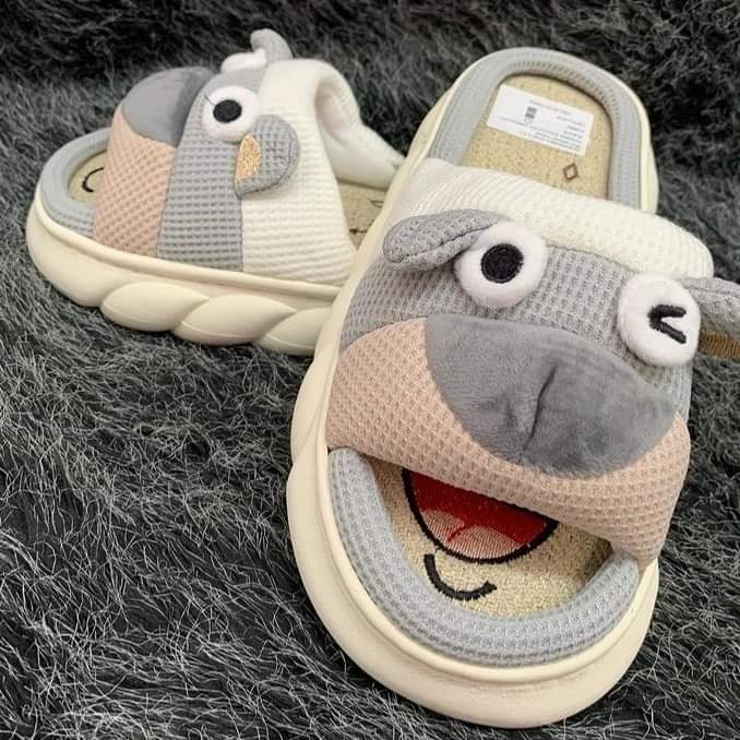 Chanclas _2
