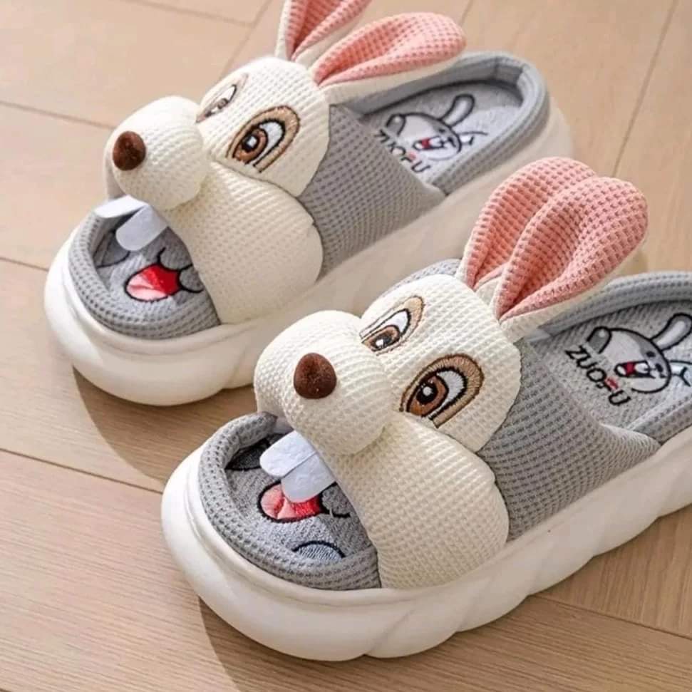 Chanclas _0