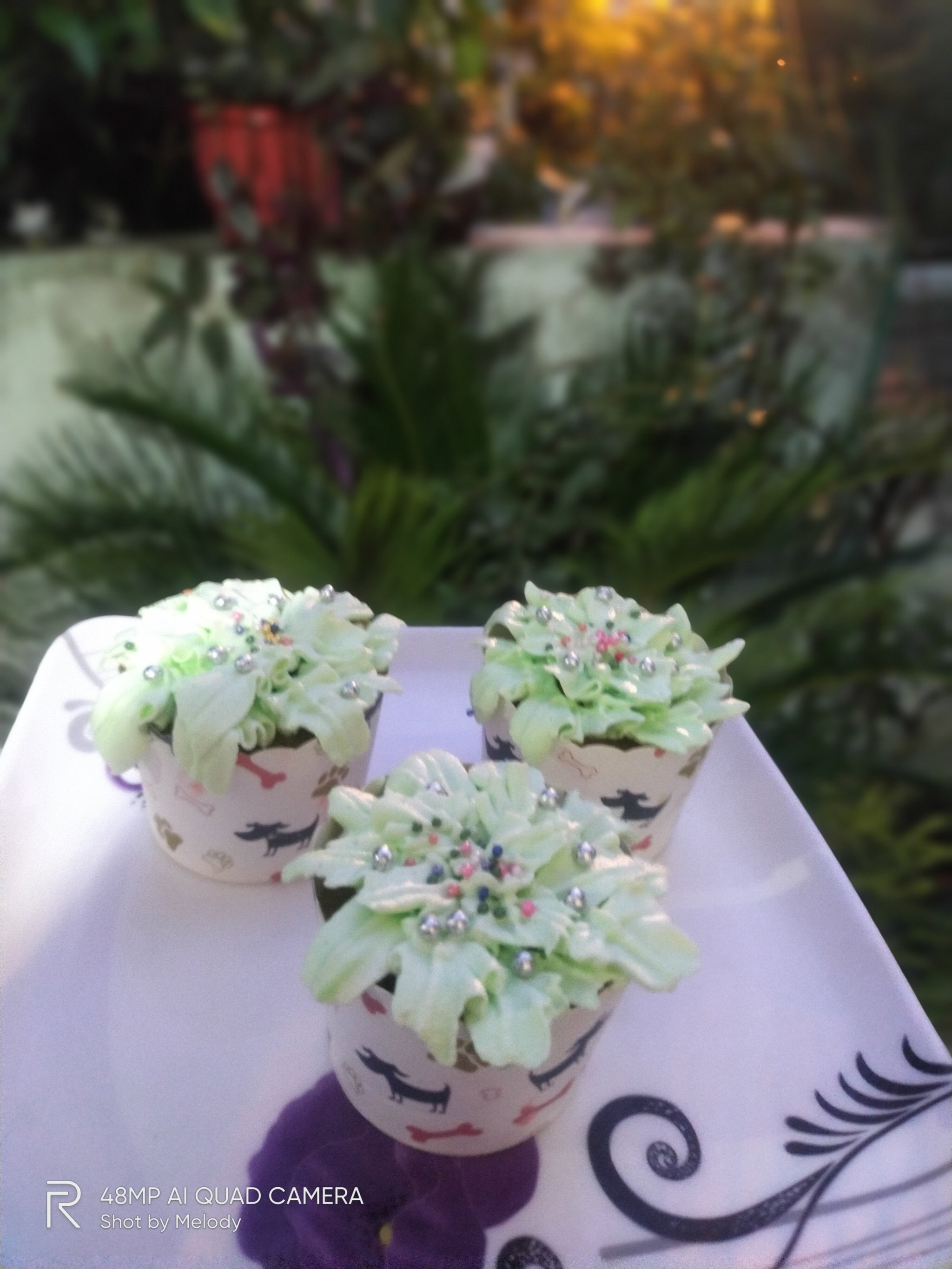 Strawberry Cupcake_0
