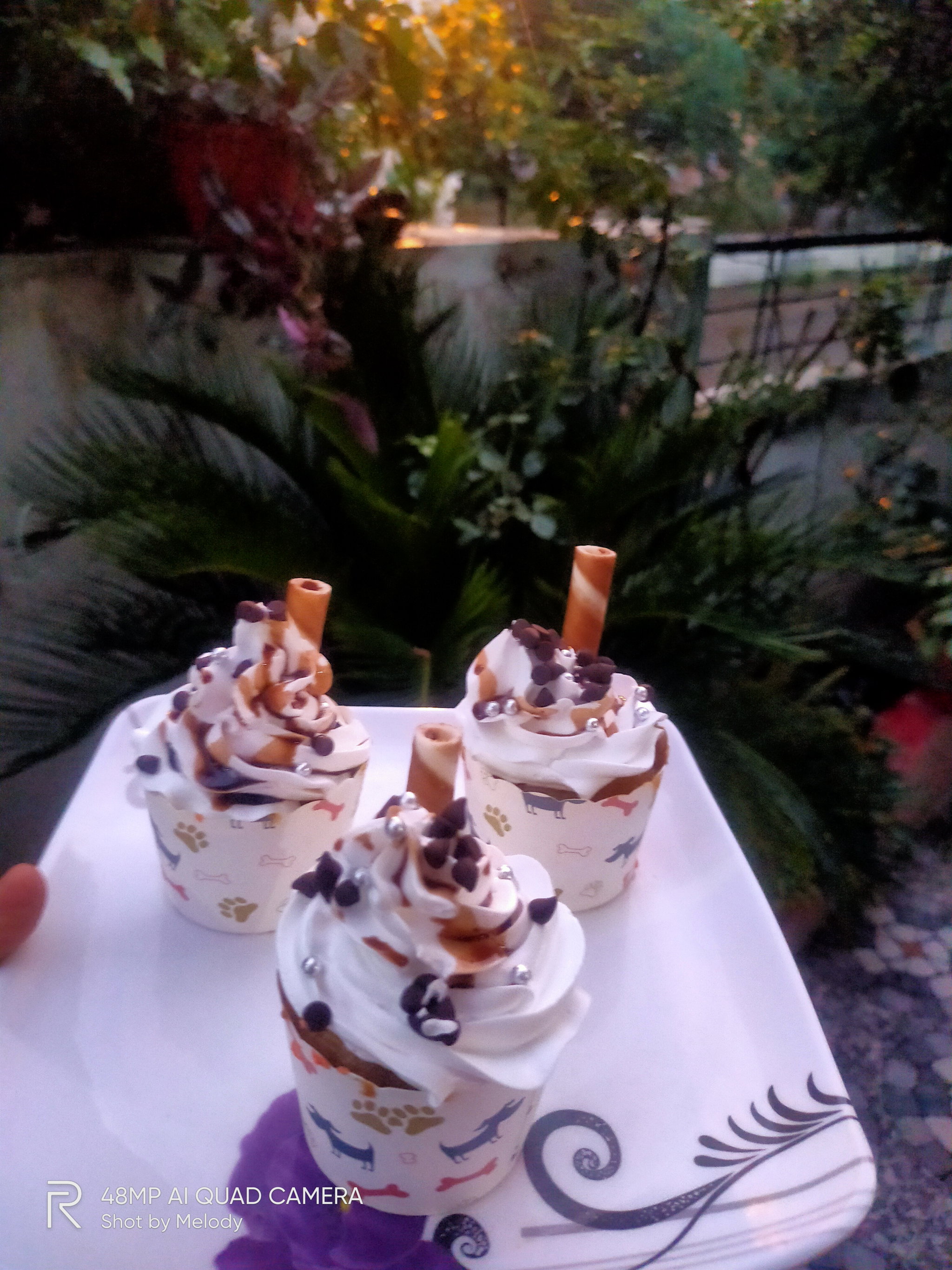 Black Forest Cupcake_0