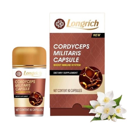 CORDYCEPS MILITARIS_0