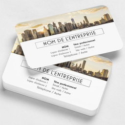 CARTE PROFESSIONNEL 
