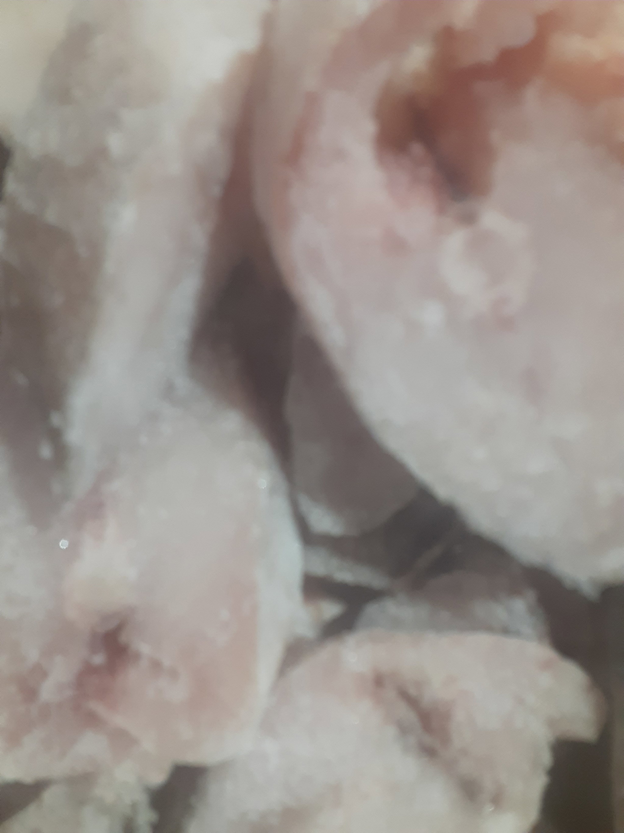 Slice Fish (Seatrout)_0