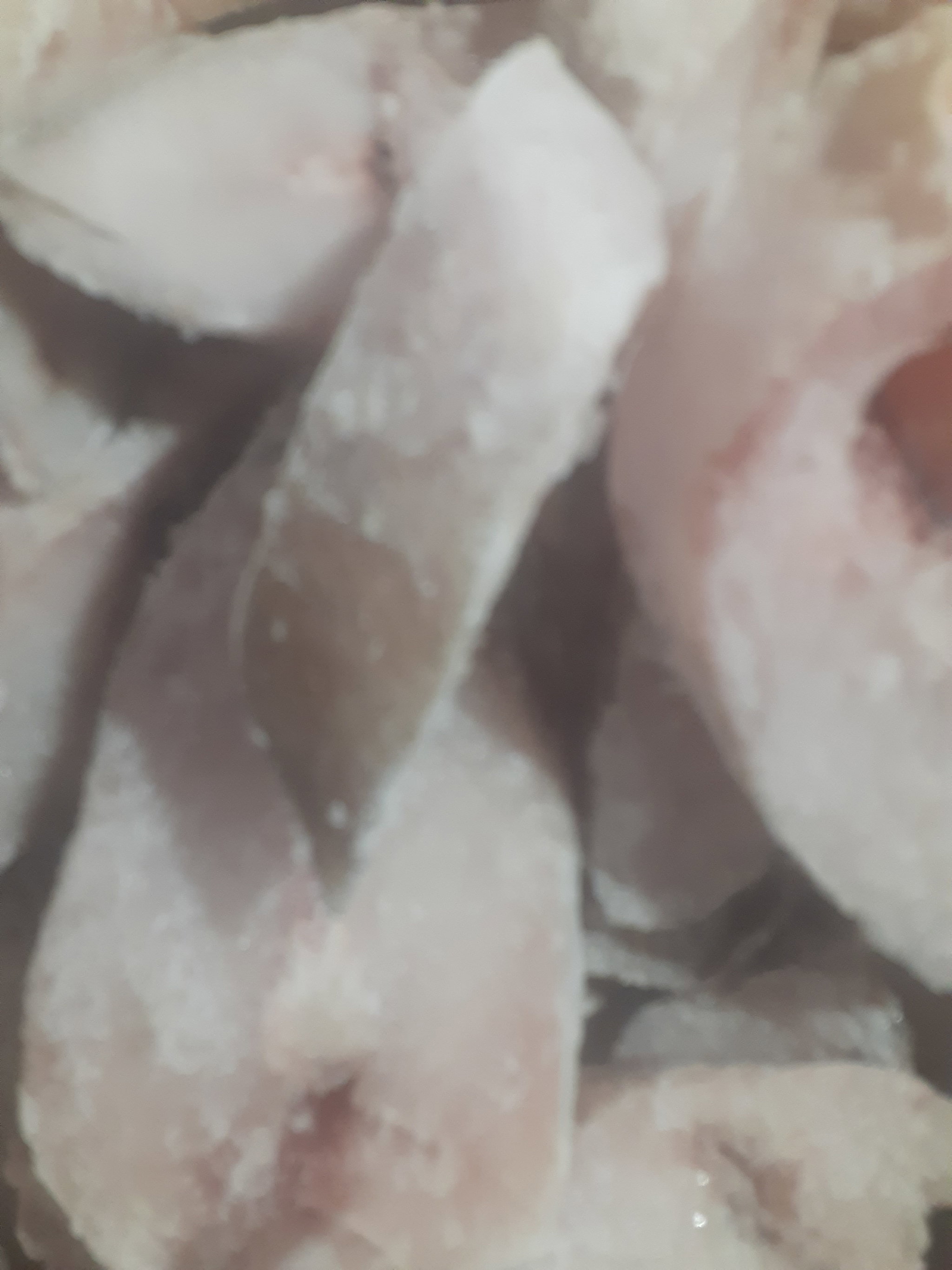 Slice Fish (Seatrout)_1