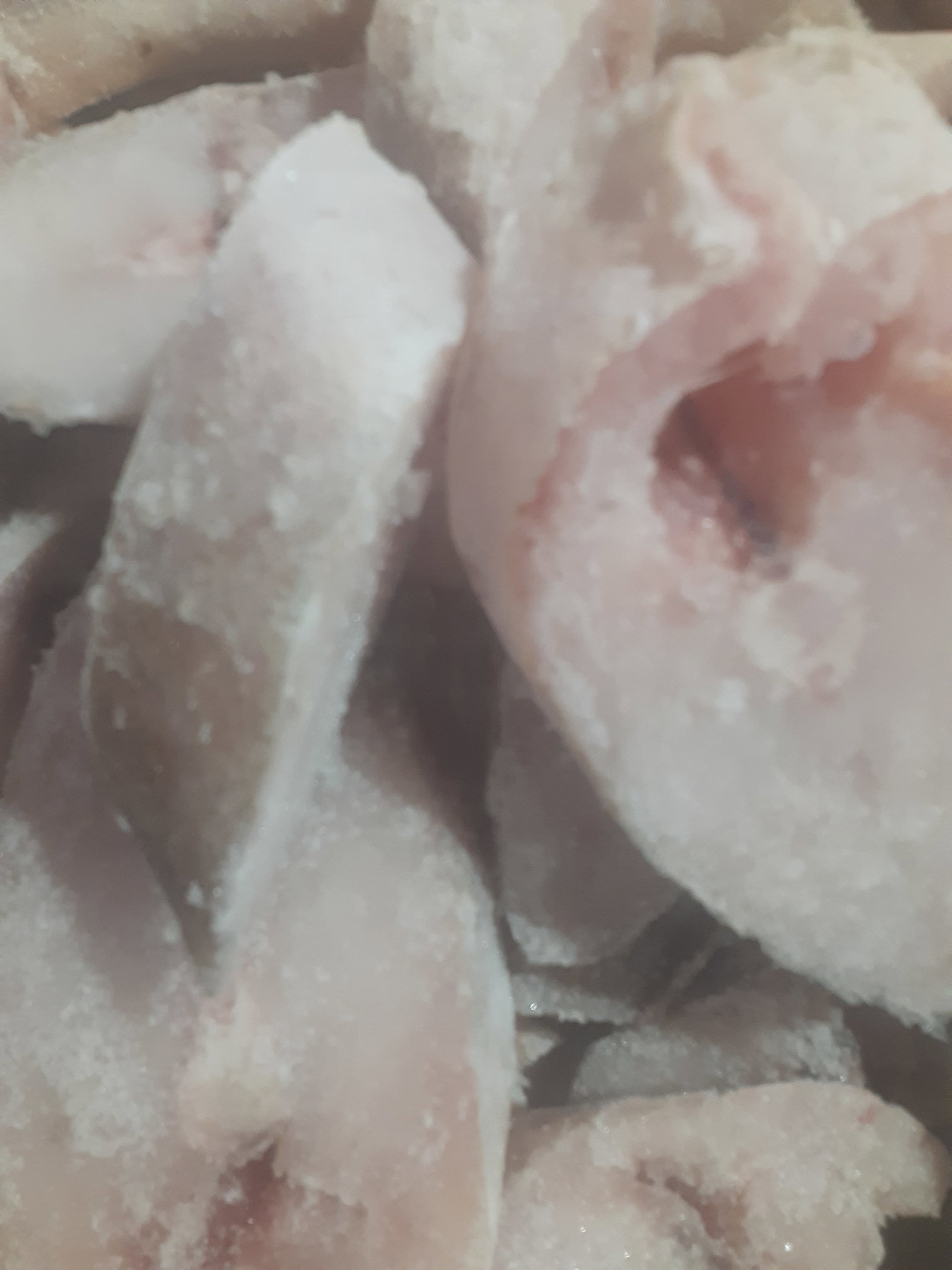 Slice Fish (Seatrout)_2