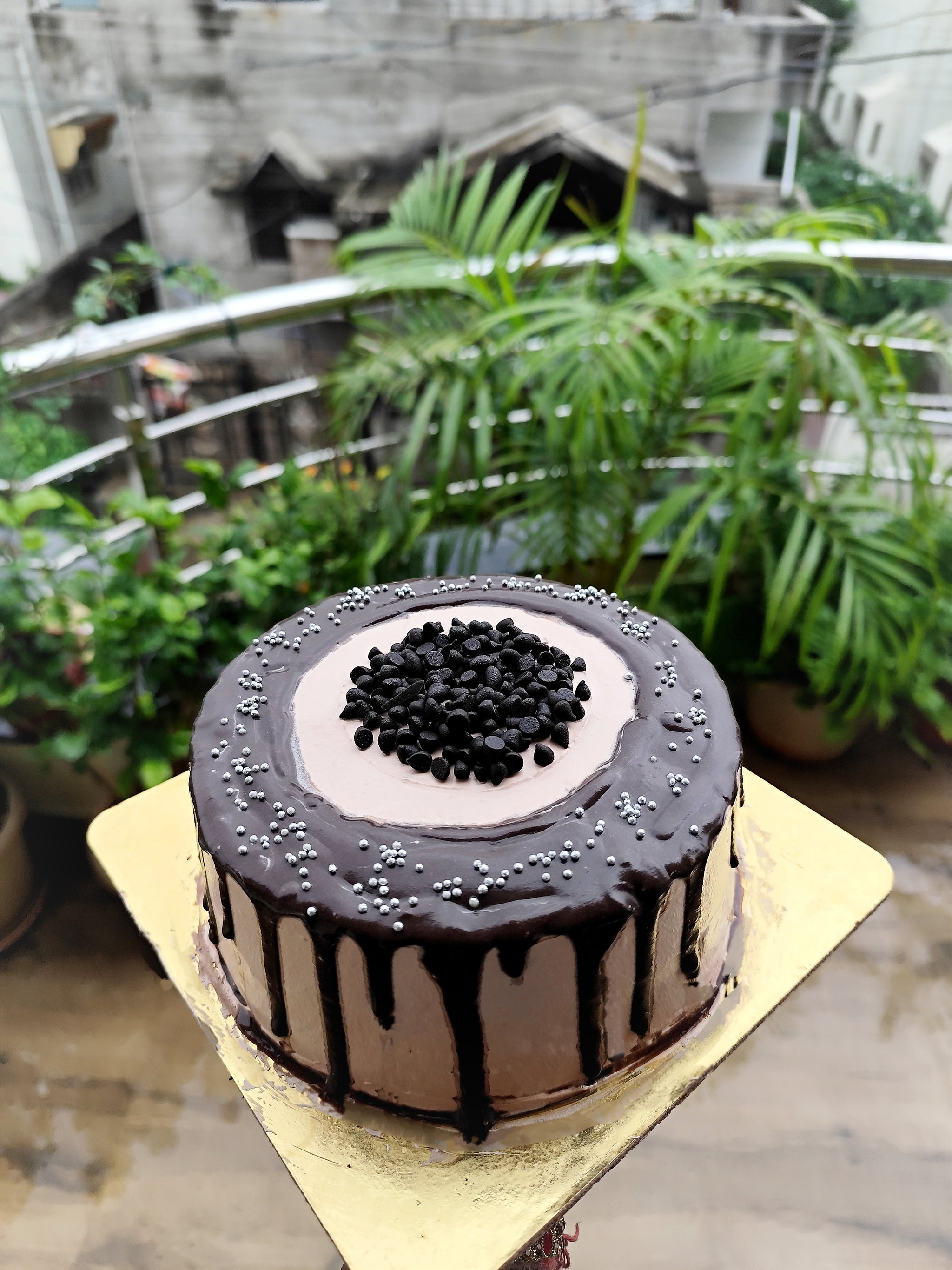 Choco Chips Cake_0