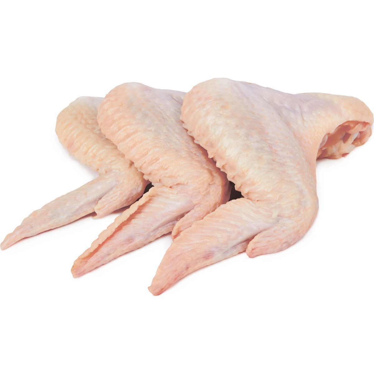 Zèl poul / Wings_0