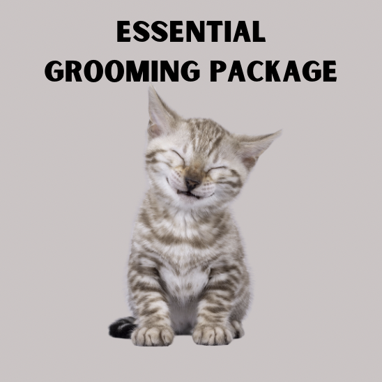 Essential Grooming Package _0