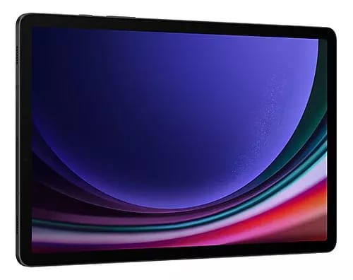 Tablet Samsung Galaxy Tab S9 Gris 256gb_1