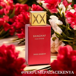 SHAGHAF OUD AHMAR