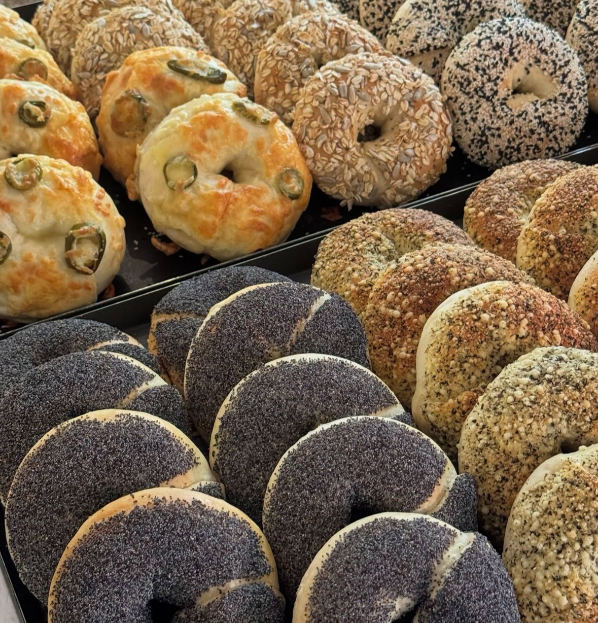 Pick Your Bagels!_0