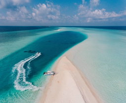 Sand Bank Trip