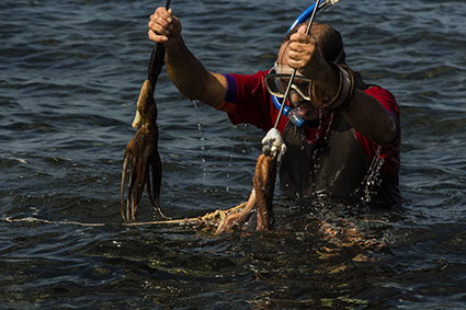 Octopus Hunting _0