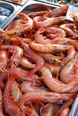 Fruit de mer 