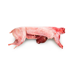 Lapin frais (950g - 990g)