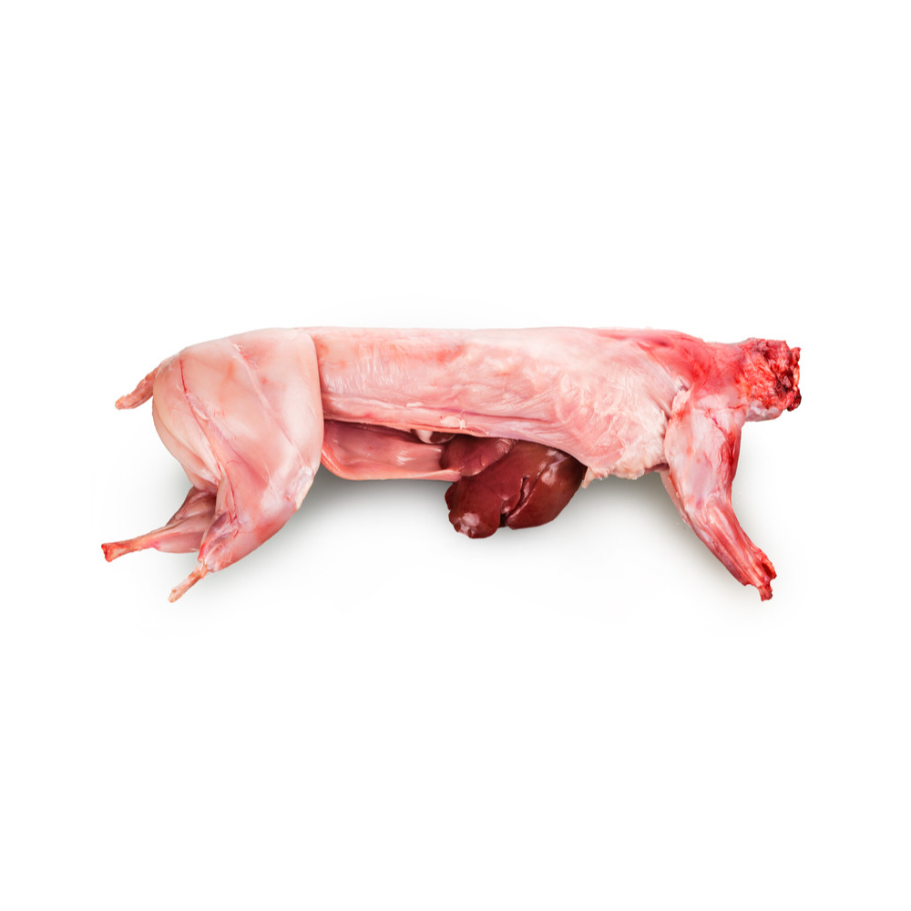 Lapin frais (1,6kg - 1,7kg)
