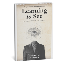 Learning to See: 25 Essays on Life and Society [eBook]