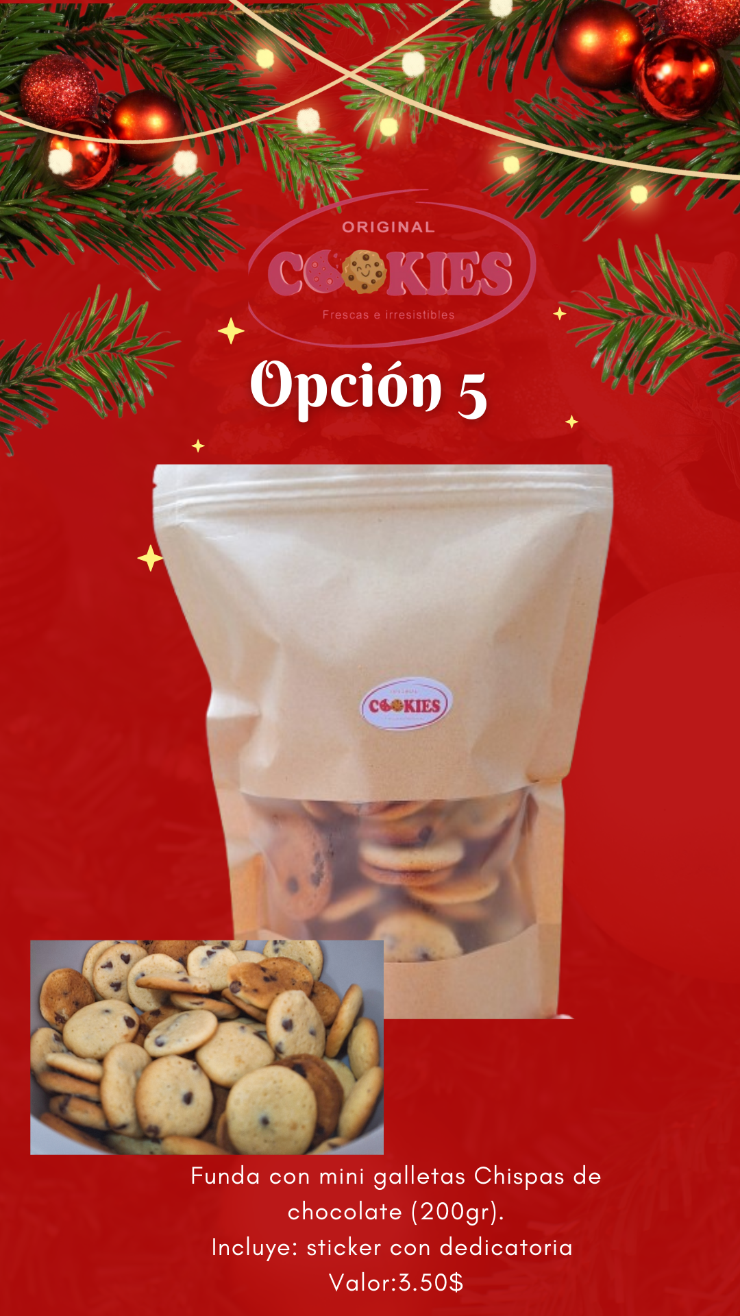 Funda de galletas mini chocolate chips (200gr)