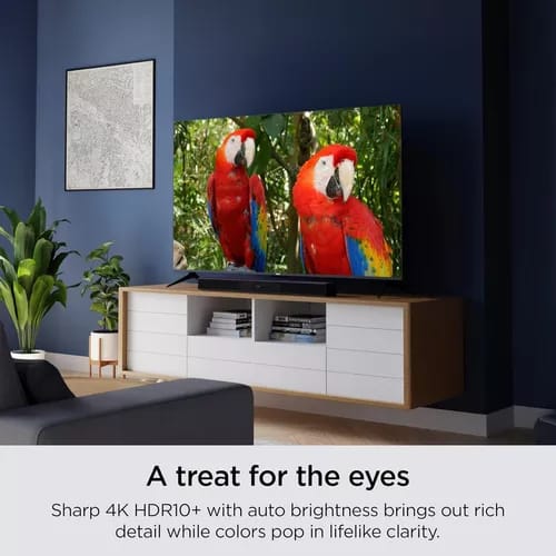 Smart Tv Roku 55 Pulgadas Led 4k Hdr 10 Class Select_1