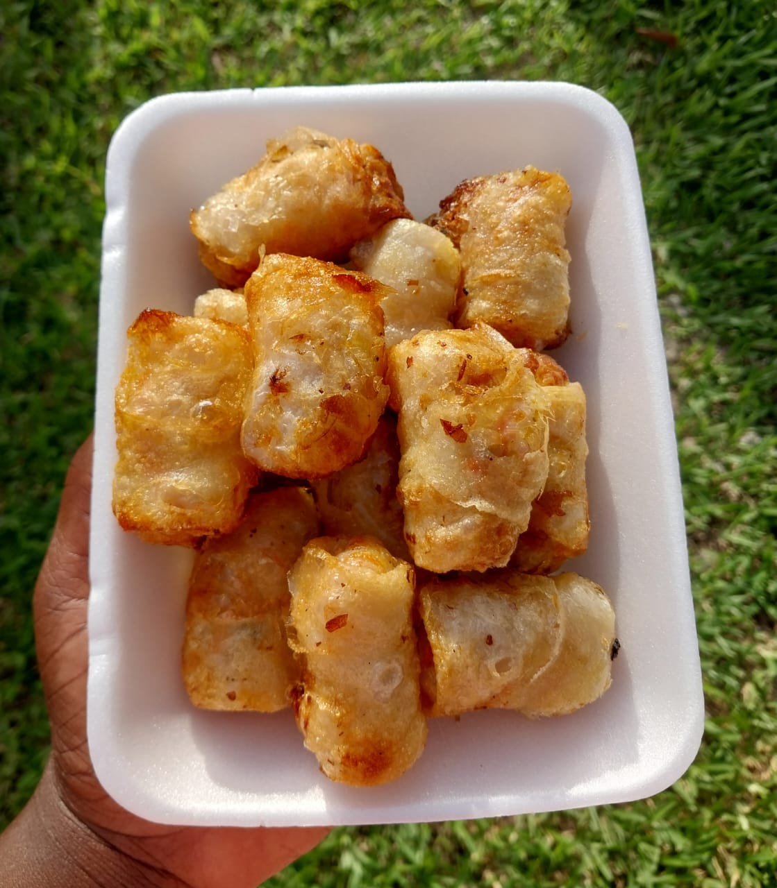 NEM POULET/VIANDE_1