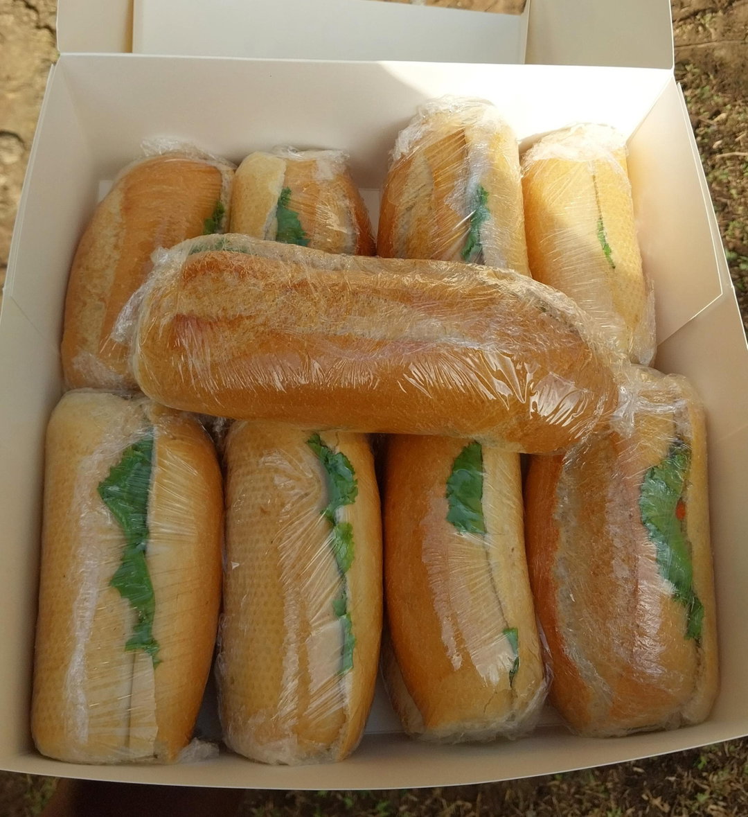 MINI SANDWICH(10)
