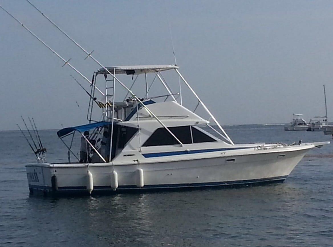 Shared Deep Sea Fishing _3