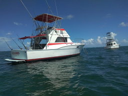 Private Deep Sea Fishing Charter 4h