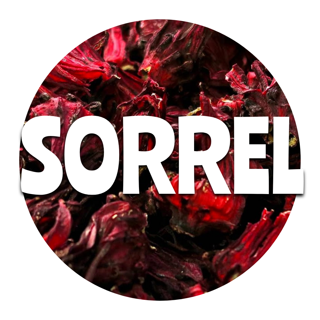 Sorrel_0