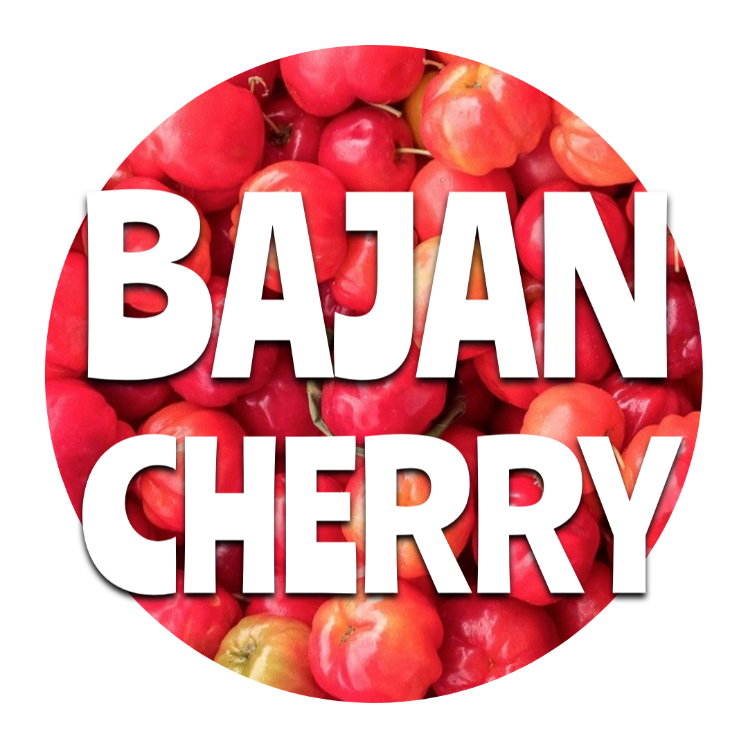 Bajan Cherry_0