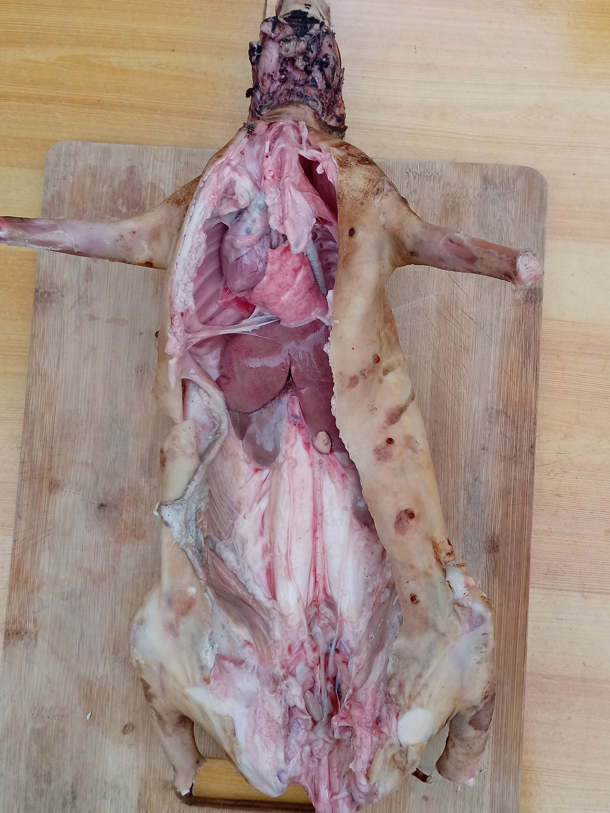 Lapin braisé (1,1 - 1,2kg)_1