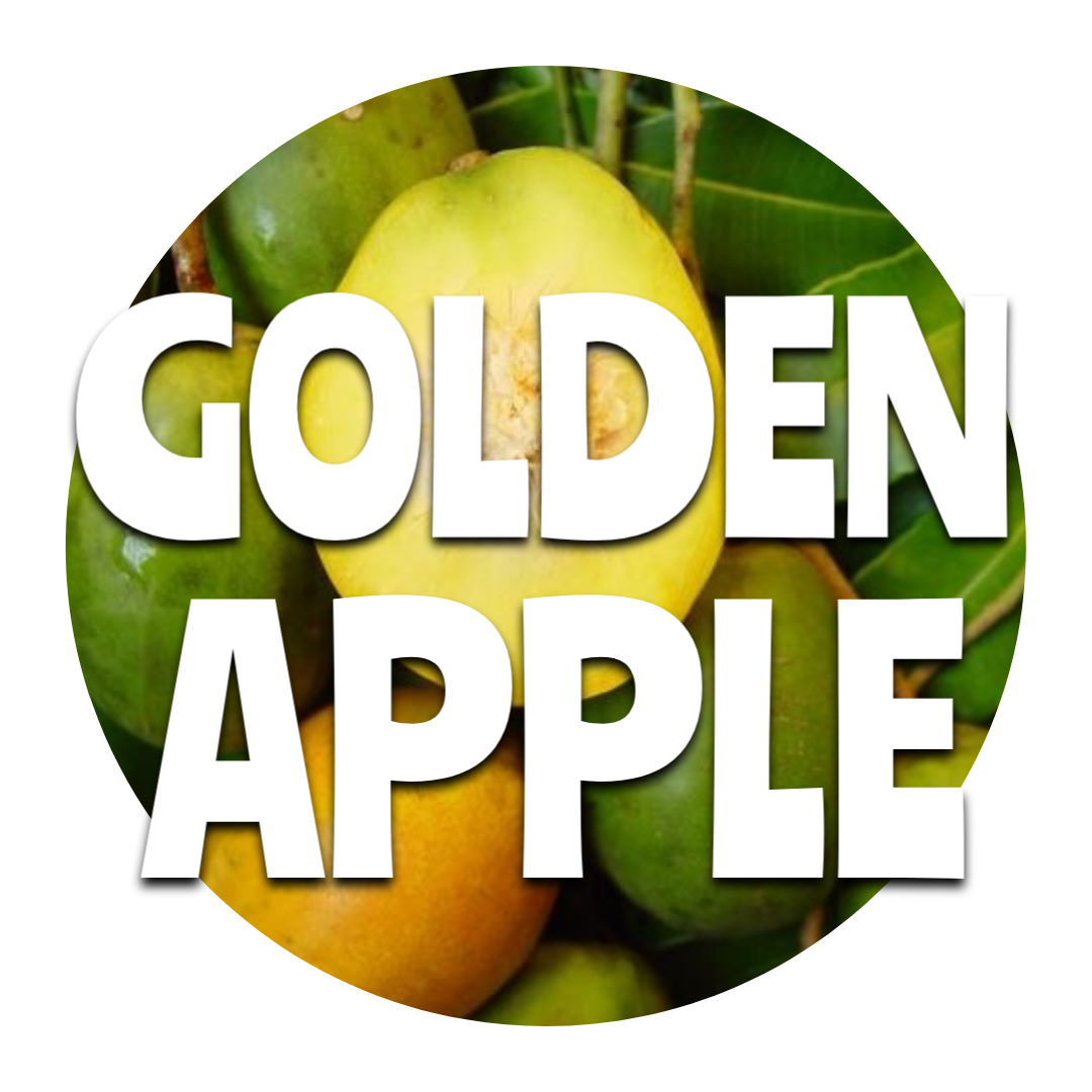 Golden Apple