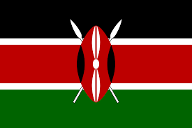 Shipping to Kenya (per kg)