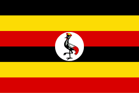 Shipping to Uganda (per kg)_0