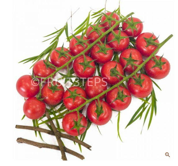 Holland Organic Air-Flown Cherry Tomato ( 500g +-)_0