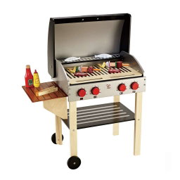 Hape Gourmet Grill