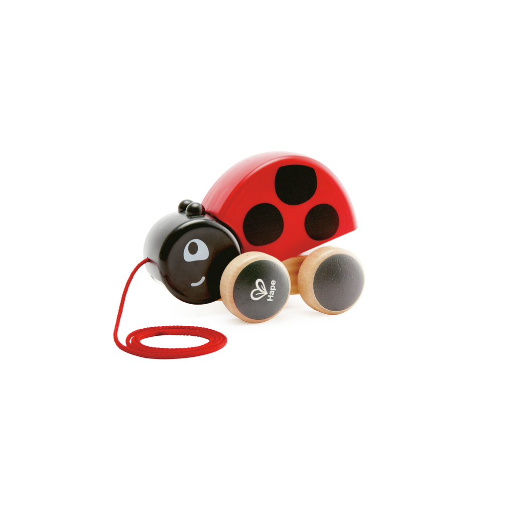 Hape Pull Along Ladybug_0