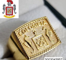 Anillo de Infanteria