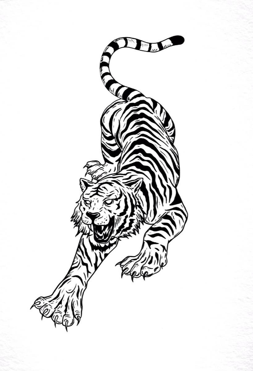 Tigre de bengala_0