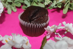 Mocha Muffins (6pk)